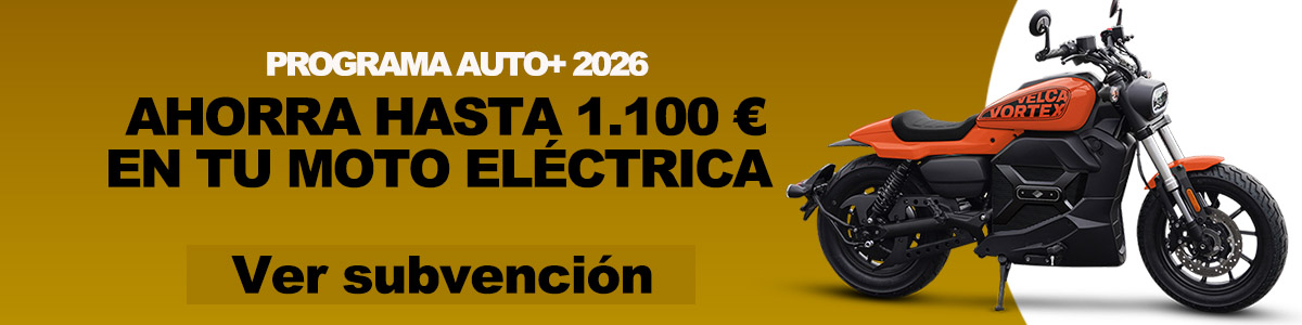 AYUDA SUBVENCION ALARGADO
